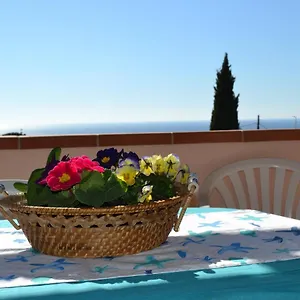 book here